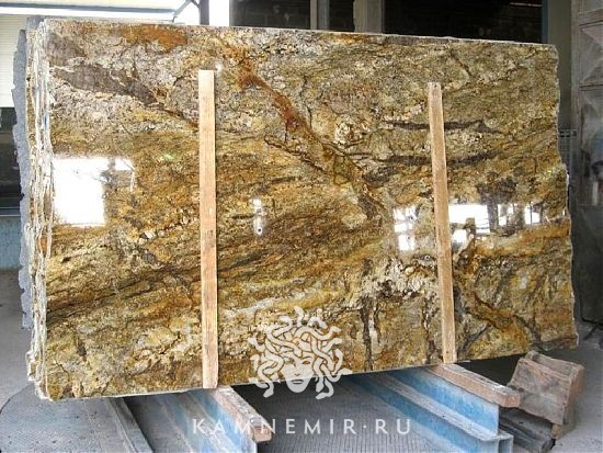 Golden Ray / Gold Ray - фото 2