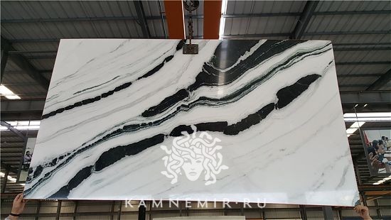 Panda White - фото 3