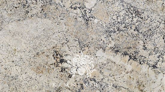 White Delicatus - фото 2