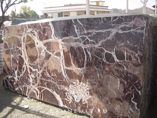 Brown Alligator - фото 4