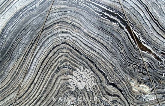 Black Wave - фото 5