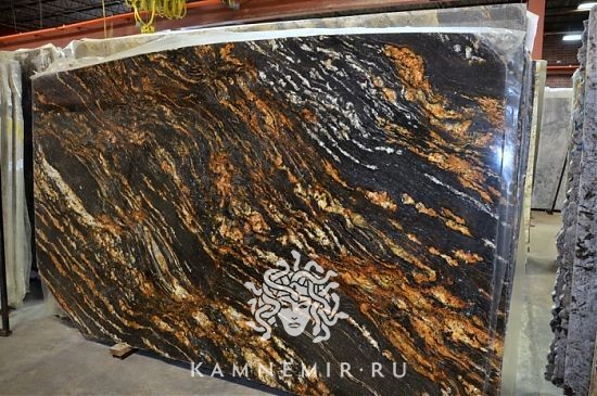 Black Taurus / Black Fusion - фото 5