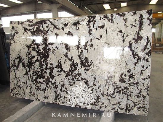 White Delicatus - фото 3