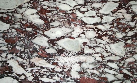 Calacatta Viola / Breccia Capraia