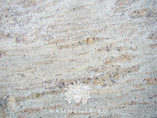 Astoria Gold / Astoria Cream