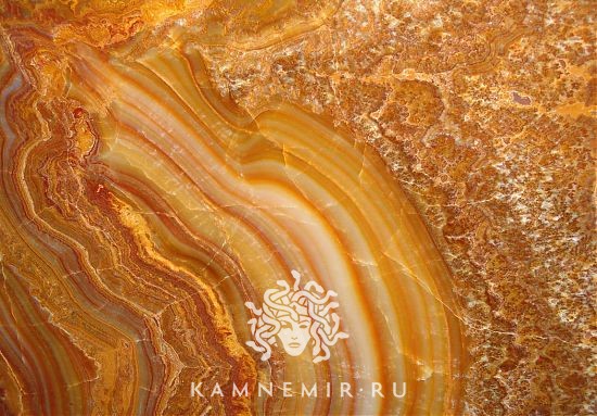 Onyx Tiger / Onyx Tigrato - изображение 1