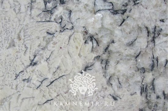 White Delicatus - изображение 1