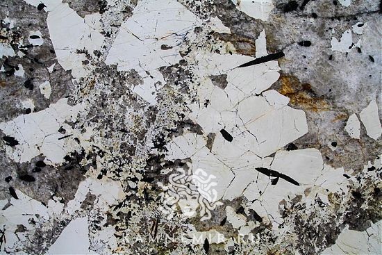 Patagonia - изображение 1