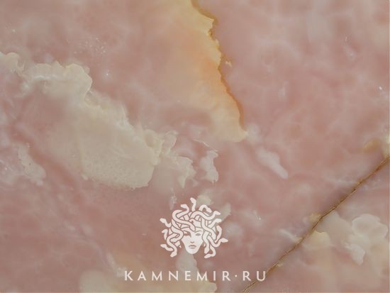 Onyx Rose - изображение 2