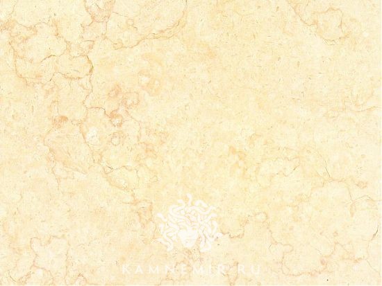 Sunny Dark / Sunny Gold - изображение 3