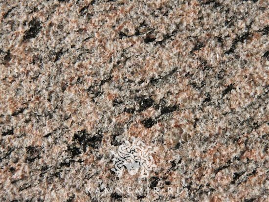 Ладожский - изображение 3