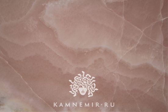 Onyx Rose - изображение 3