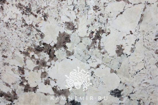 White Delicatus - изображение 4