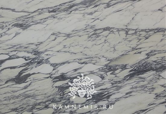 Arabescato Corchia - изображение 5