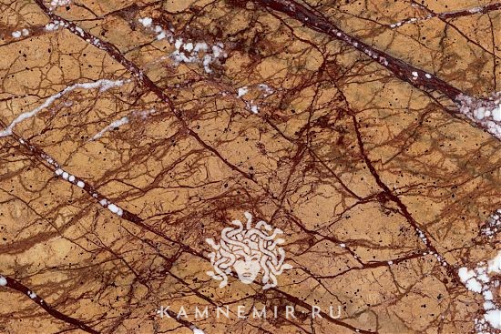 Bidasar Brown / Rainforest Brown