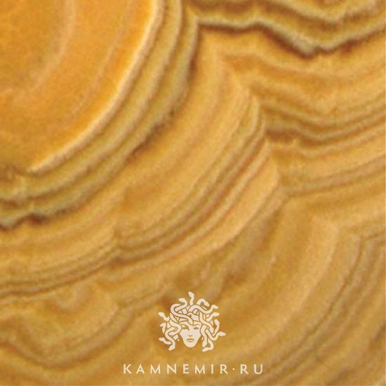 Onyx Miele - изображение 1