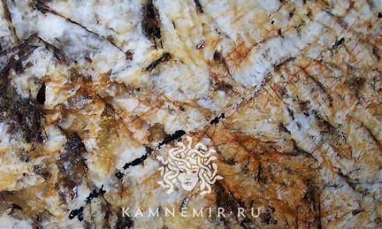 Delicatus Gold / Delicatus Brown - изображение 1