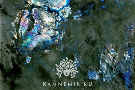 Blue Flowers / Big Flowers - изображение 1