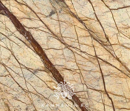 Bidasar Brown / Rainforest Brown - изображение 2