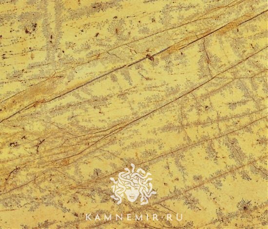 Amarillo Triana - изображение 2