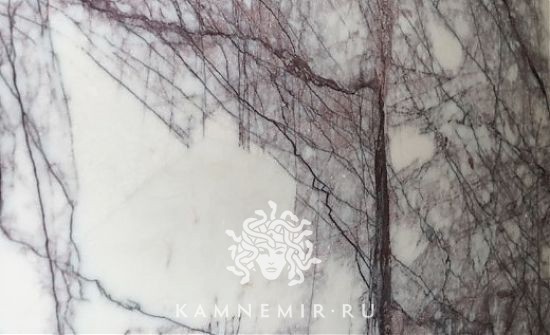 Milas Lilac - изображение 2