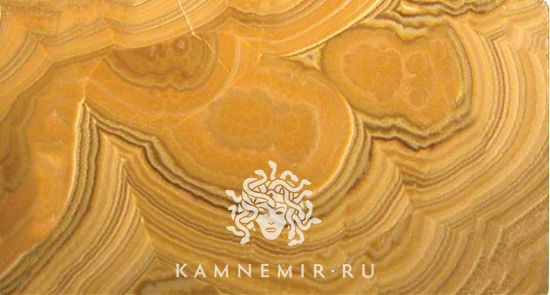 Onyx Miele - изображение 2