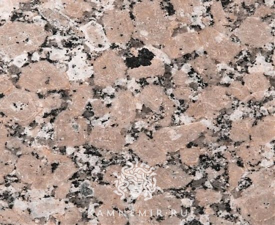 Rosavel - изображение 2