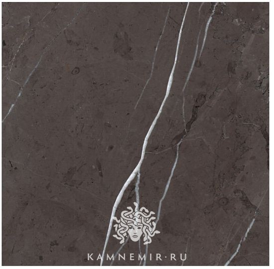 Pietra Grey - изображение 2