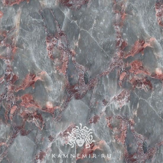 Salome - изображение 3