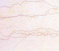 Фрагмент текстуры Filetto Rosso