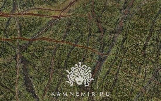 Bidasar Green / Rainforest Green - изображение 3