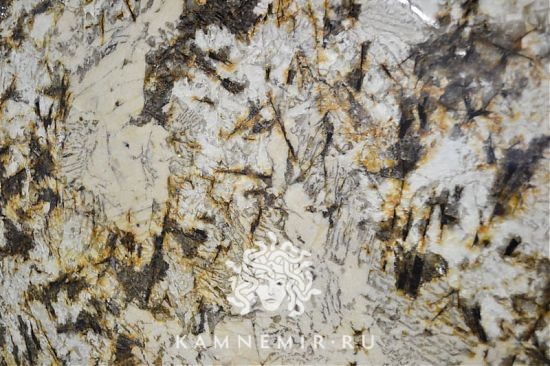 Delicatus Gold / Delicatus Brown - изображение 3