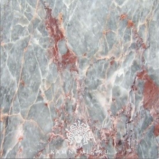 Salome - изображение 4