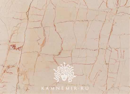 Rosalia - изображение 4