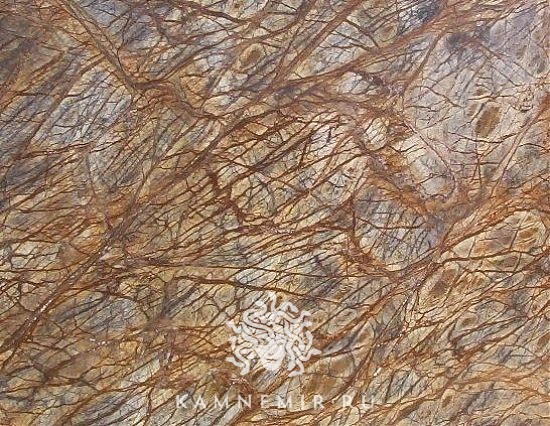 Bidasar Brown / Rainforest Brown - изображение 5