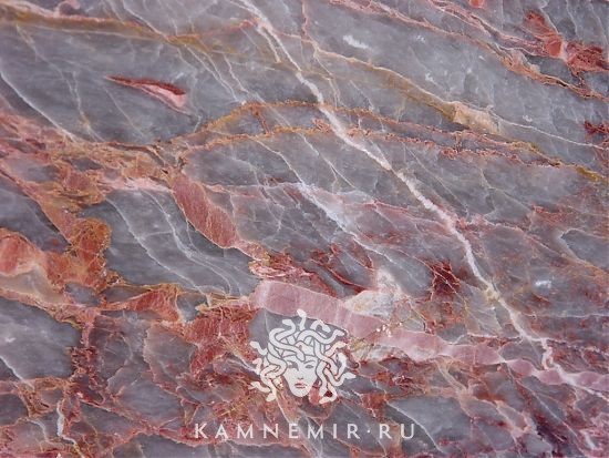 Salome - изображение 6