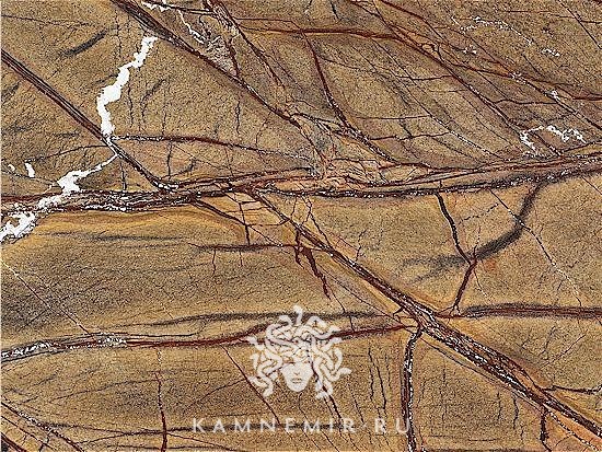 Bidasar Brown / Rainforest Brown - изображение 6