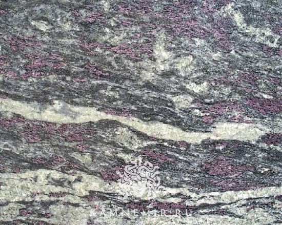 Amadeus - изображение 6