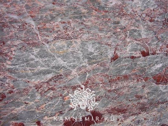 Salome - изображение 7