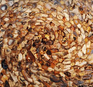 Agate Rubane Tornado Gold - фото 1