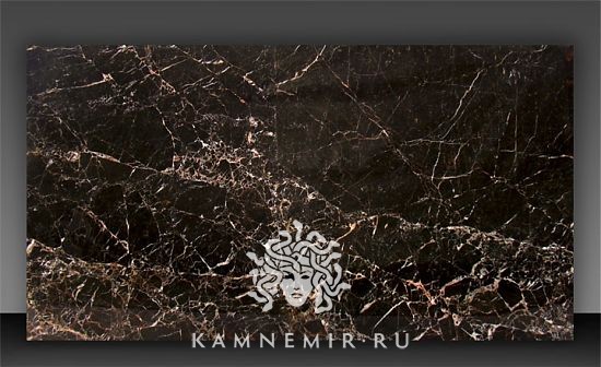 Saint Laurent / Noir St Laurent - фото 1