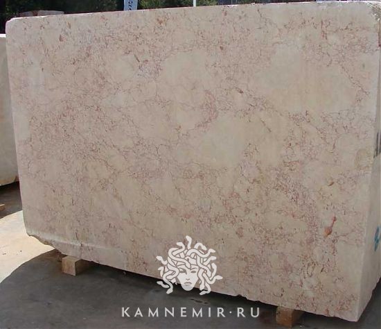 Rosalia - фото 6