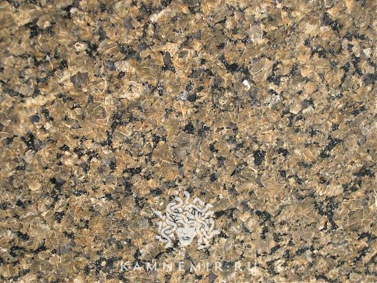 Tropical Brown / Tropic Brown