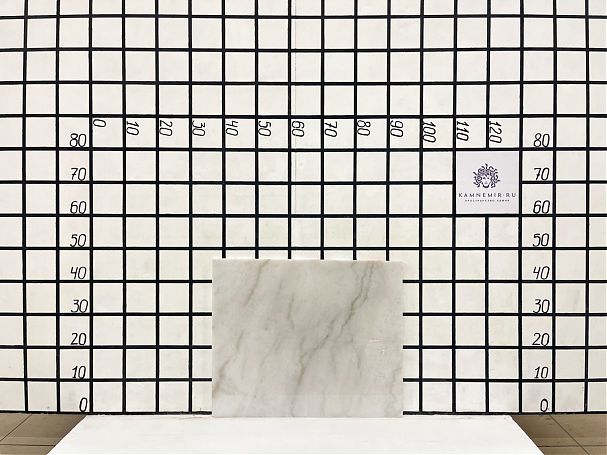 Заготовка  (560х450х18 мм)/Мрамор Guangxi White/Белый/Полировка - изображение 1