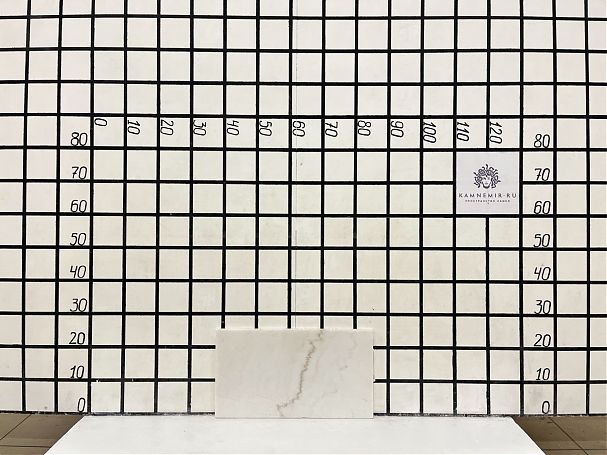 Заготовка  (450х240х18 мм)/Мрамор Guangxi White/Белый/Полировка - изображение 1