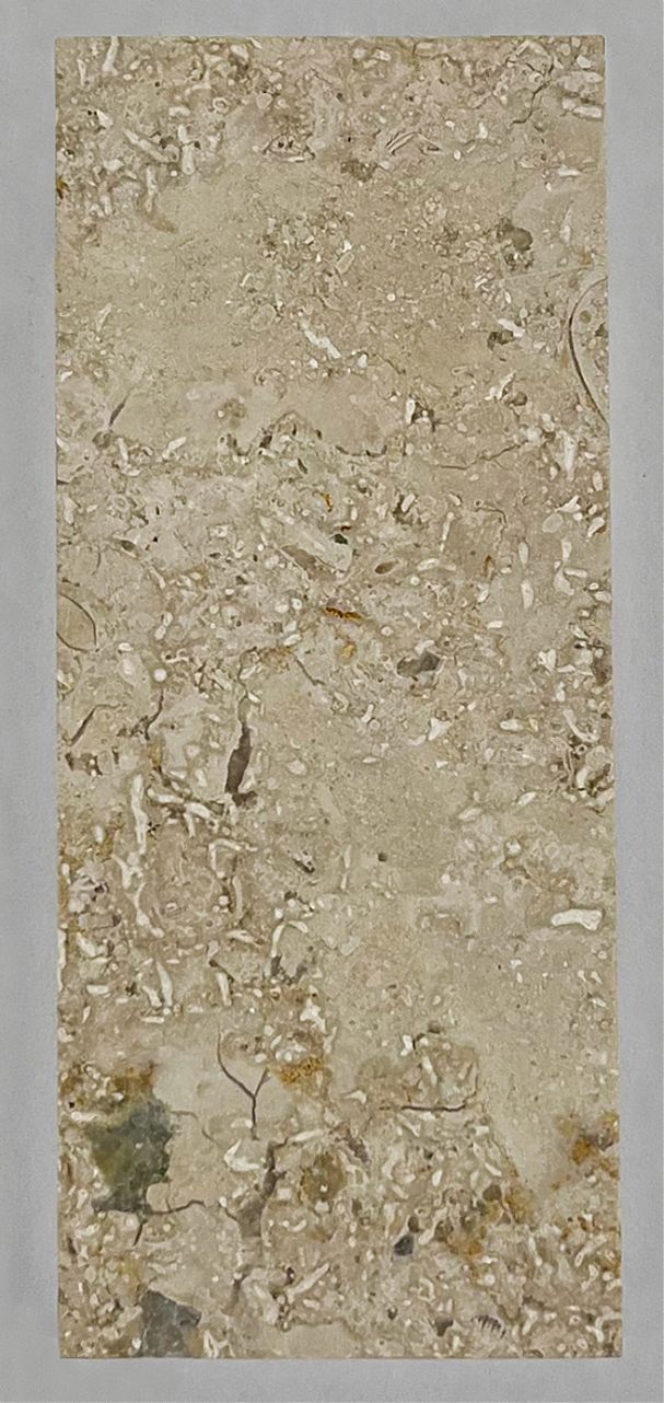 Заготовка П2 (м/п) (Lх40х10 мм)/Известняк Jura Beige Rahmweiss/Бежевый/Лощение - изображение 2