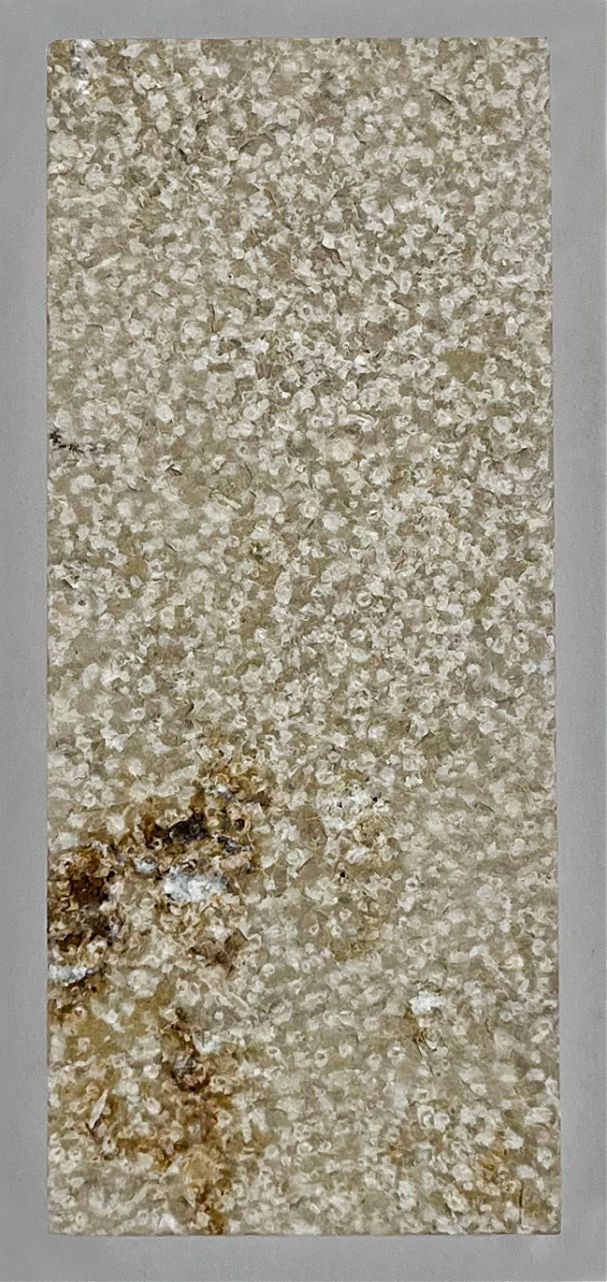 Заготовка П2 (м/п) (Lх40х10 мм)/Известняк Jura Beige Rahmweiss/Бежевый/Лощение - изображение 3