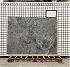 Заготовка  (1220х300х20 мм)/Мрамор Tundra Grey/Серый/Полировка - мини изображение 2